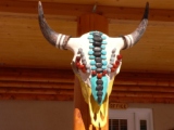 Native American Buffalo Head