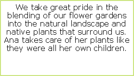 Text Box: We take great pride in the blending of our flower gardens into the natural landscape and native plants that surround us. Ana takes care of her plants like they were all her own children. 