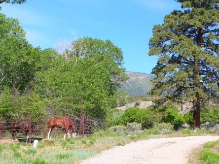 Horse Corral with view of the Tushar Mountains in the back