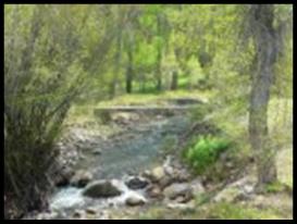 Creek by Bullion Creekside Retreat
