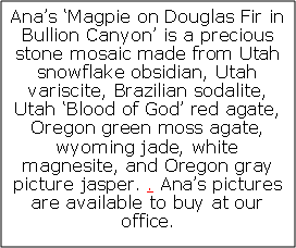 Text Box: Ana’s ‘Magpie on Douglas Fir in Bullion Canyon’ is a precious stone mosaic made from Utah snowflake obsidian, Utah variscite, Brazilian sodalite, Utah ‘Blood of God’ red agate, Oregon green moss agate, wyoming jade, white magnesite, and Oregon gray picture jasper. . Ana’s pictures are available to buy at our office.